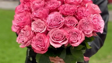 Photo of Преимущества покупки роз в СПб с доставкой на сайте «Цветочный блюз»